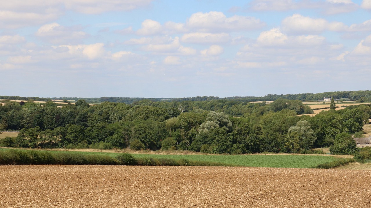 Photo of Others in Barnsdale