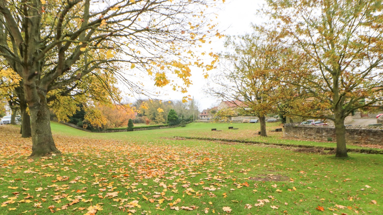 Photo of Others in Richmond