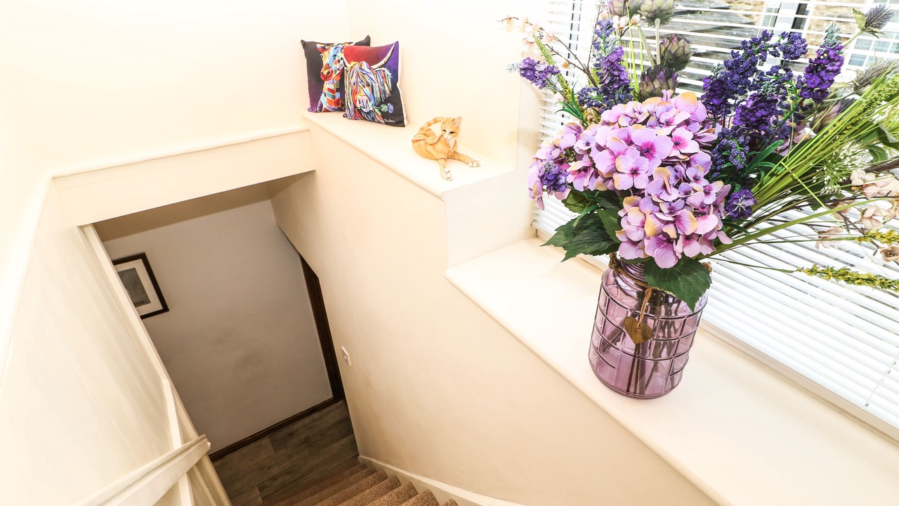 Photo of Others in Richmond