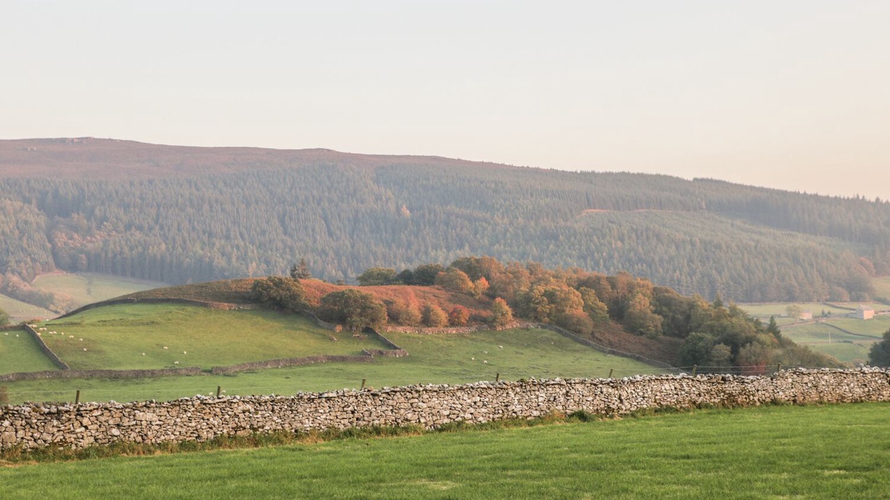 Photo of Others in Appletreewick