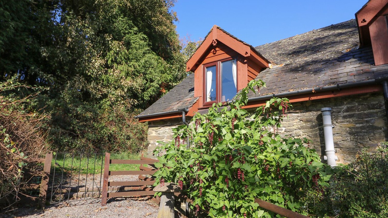 Photo of Others in Llanidloes