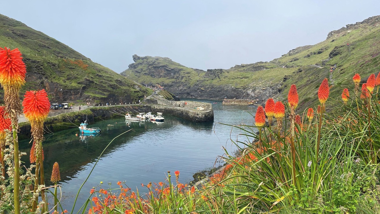 Photo of Others in Camelford