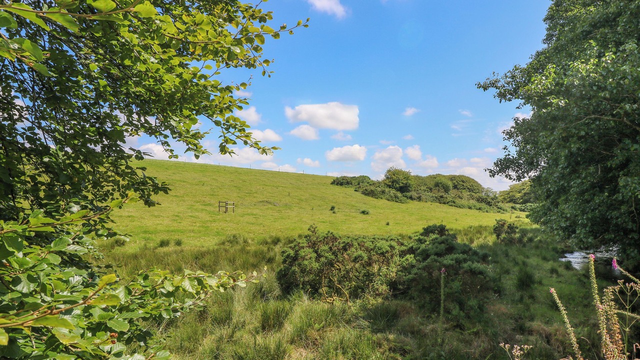 Photo of Others in Camelford