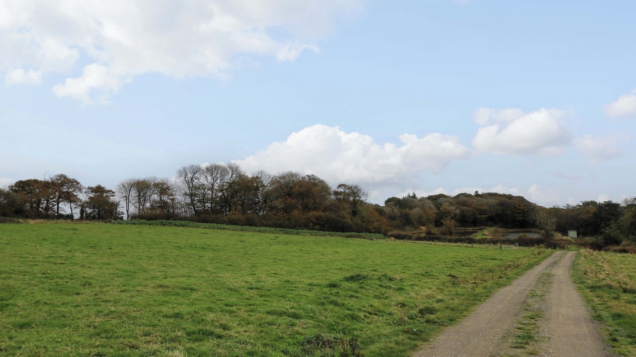 Photo of Others in Littleham