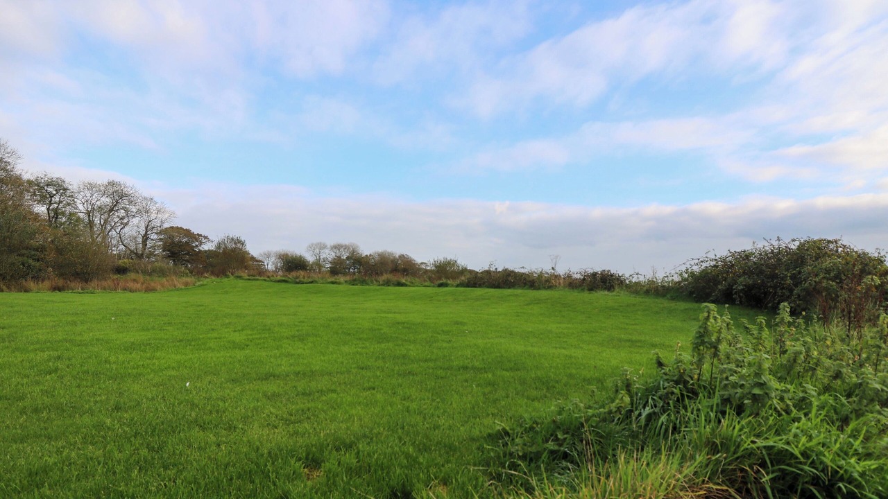 Photo of Others in Littleham