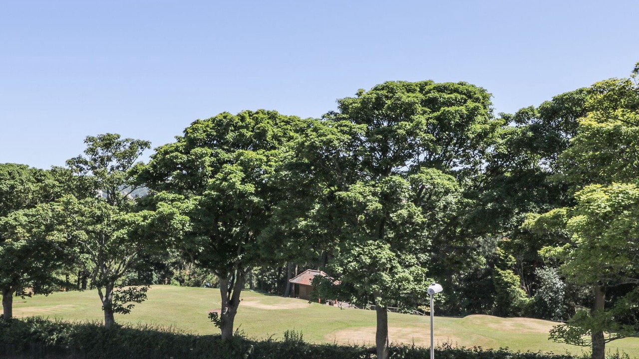 Photo of Others in Scarborough