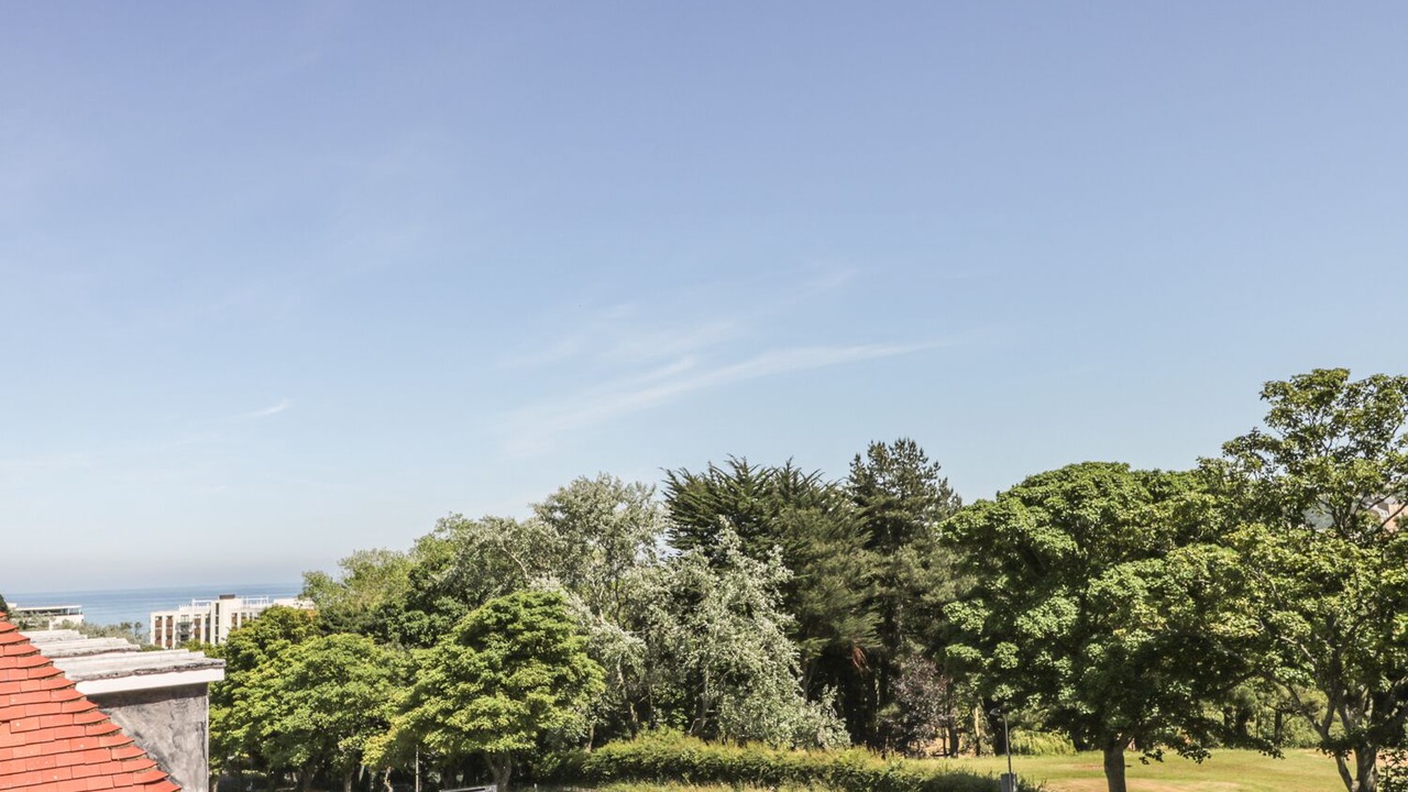 Photo of Others in Scarborough