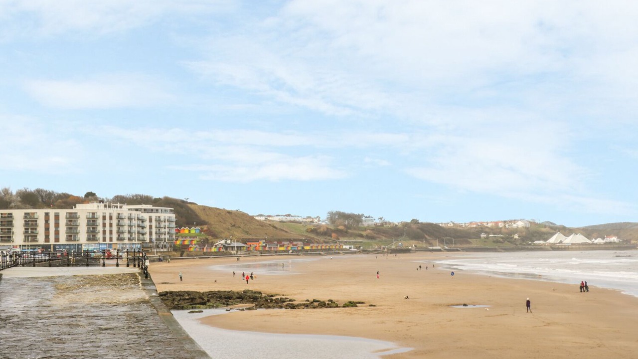 Photo of Others in Scarborough