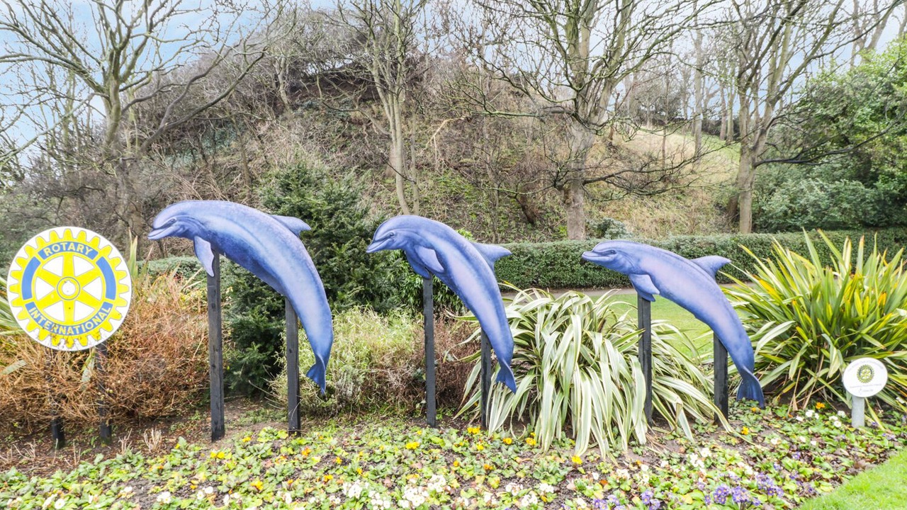 Photo of Others in Scarborough