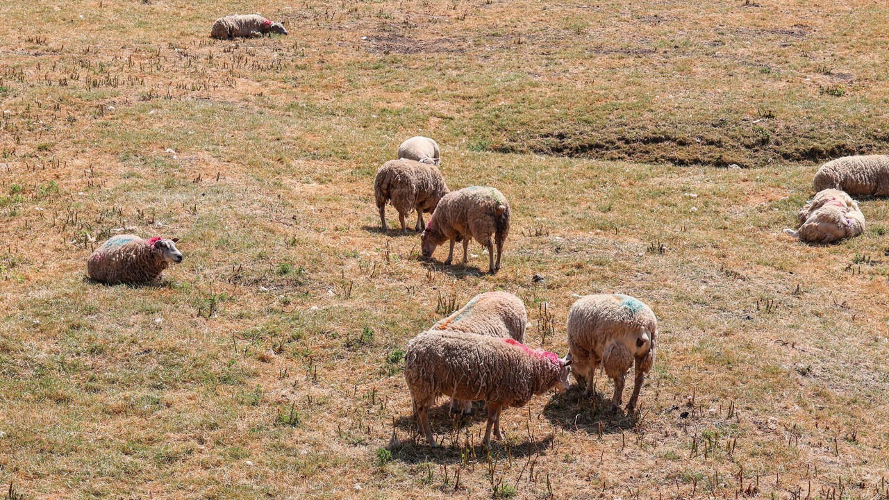 Photo of Others in Shipley