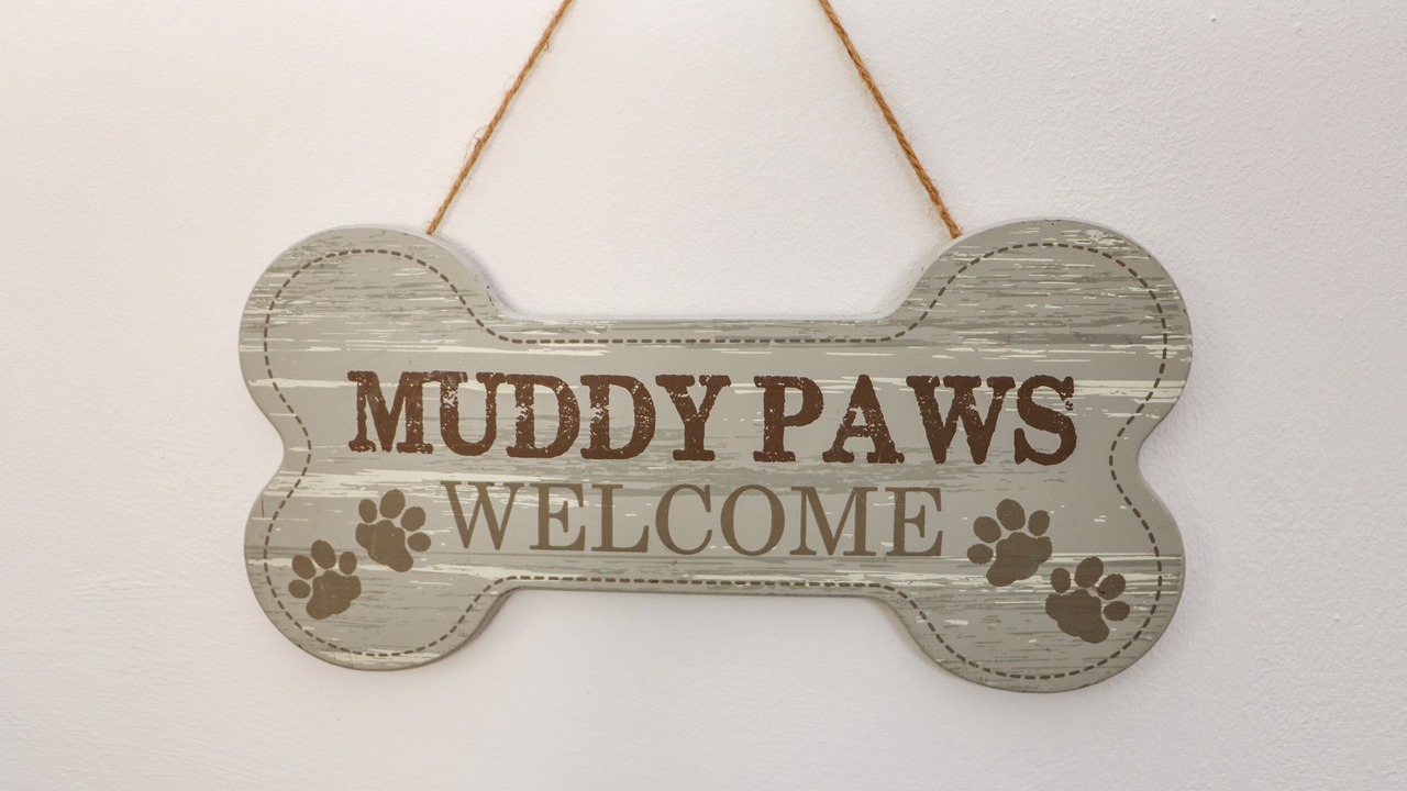 Photo of Others in Saint Erth Praze