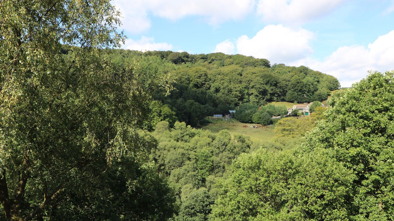 Photo of Others in Cragg Vale