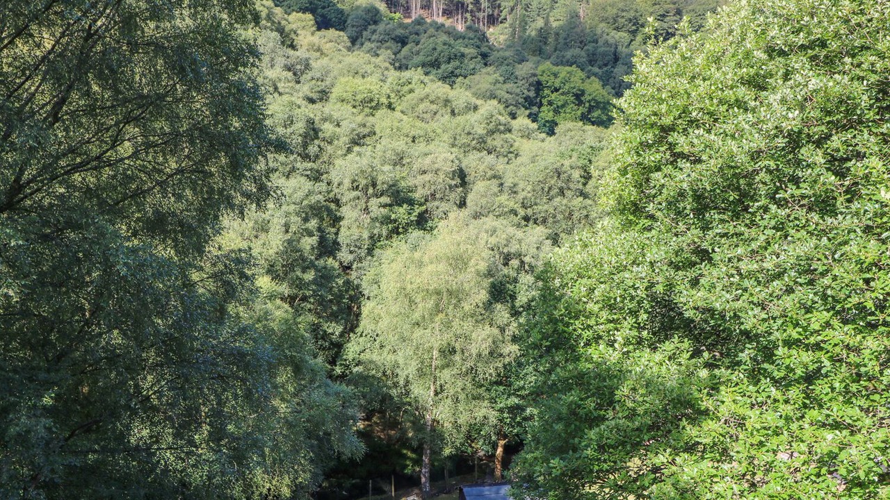 Photo of Others in Cragg Vale