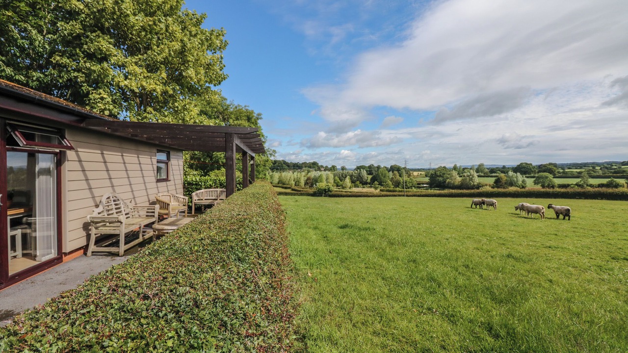 Photo of Others in Farringdon