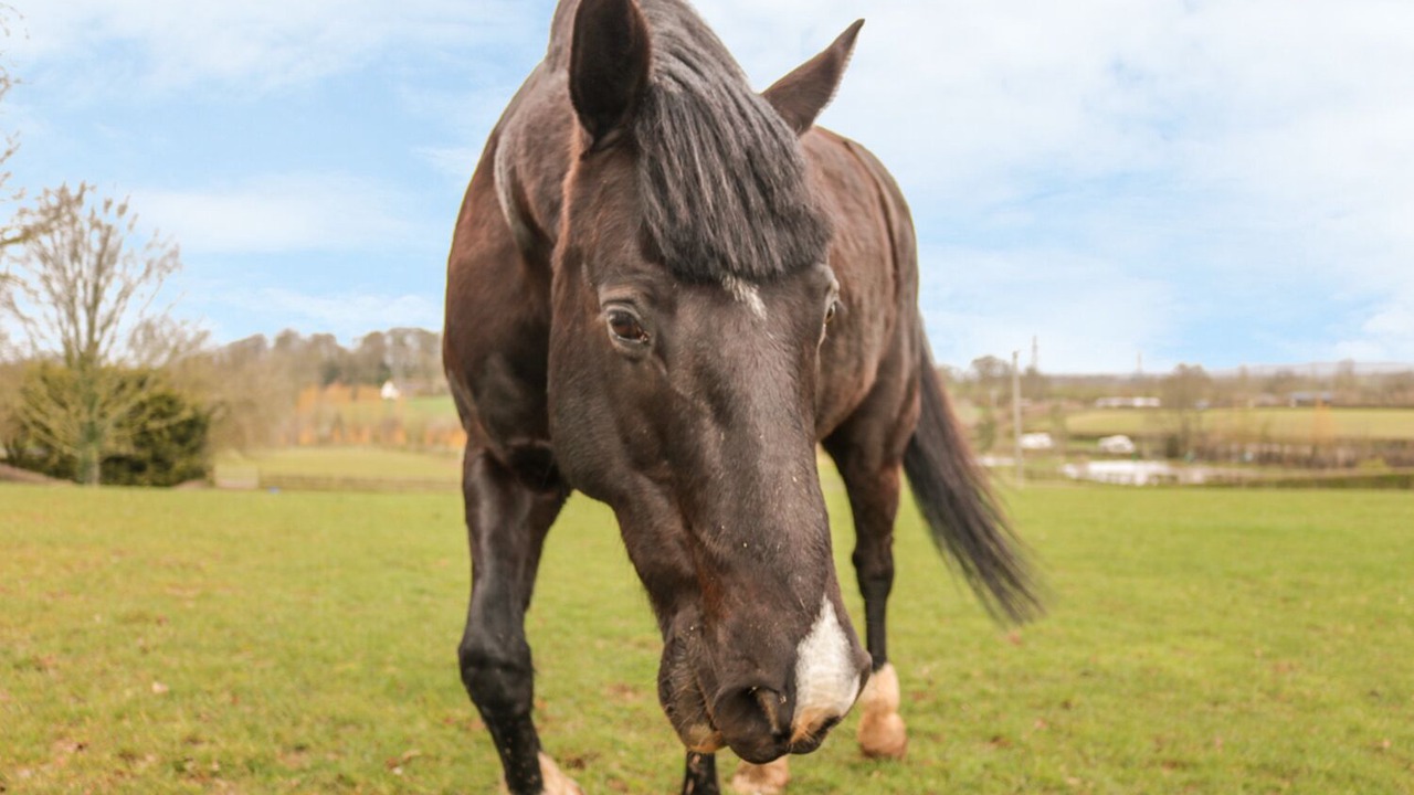 Photo of Others in Farringdon