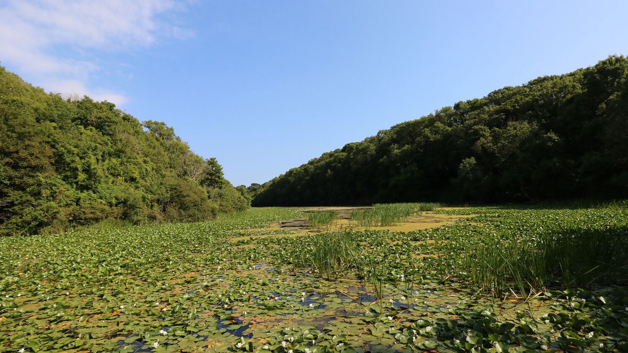 Photo of Others in Bosherston