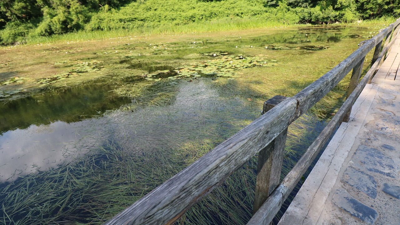 Photo of Others in Bosherston