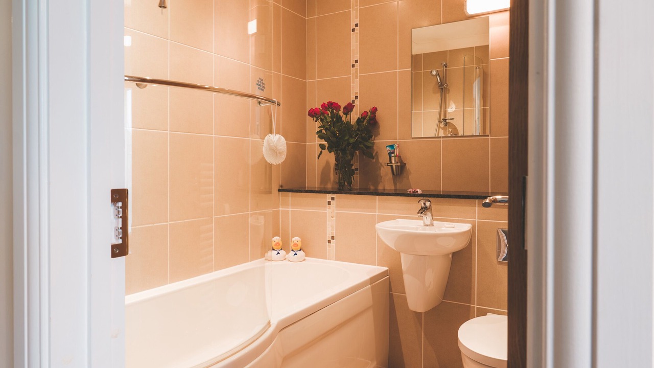 Photo of Others in Bridgwater