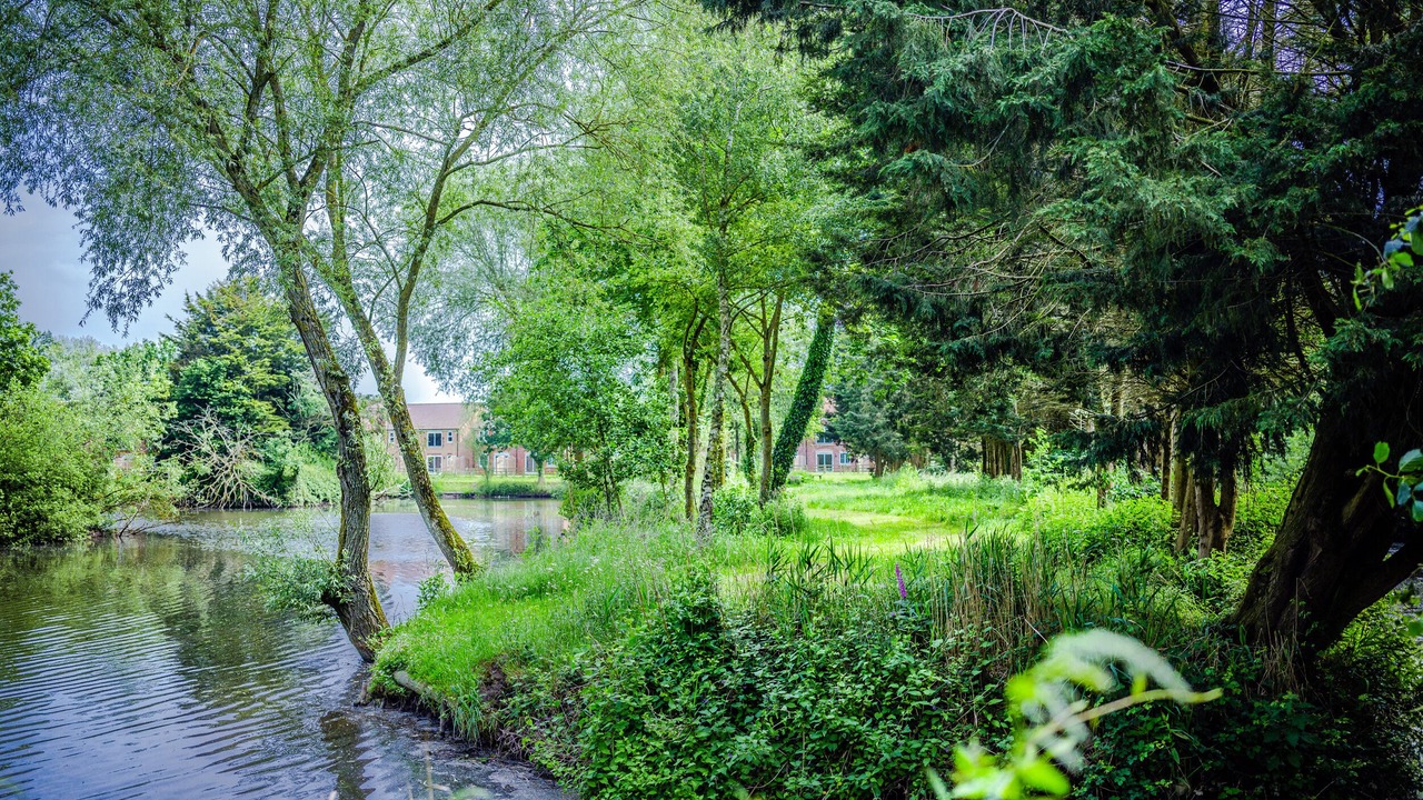 Photo of Others in Bridgwater