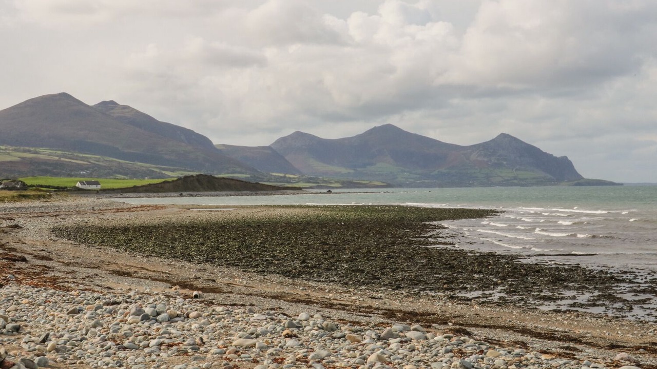 Photo of Others in Dinas