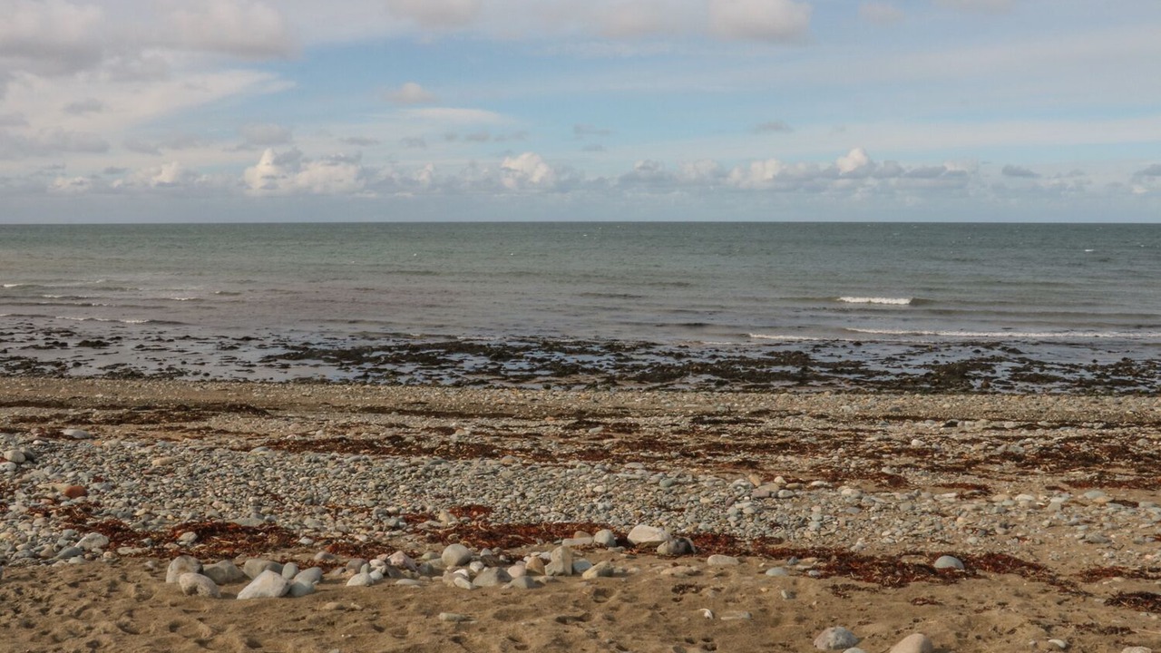 Photo of Others in Dinas