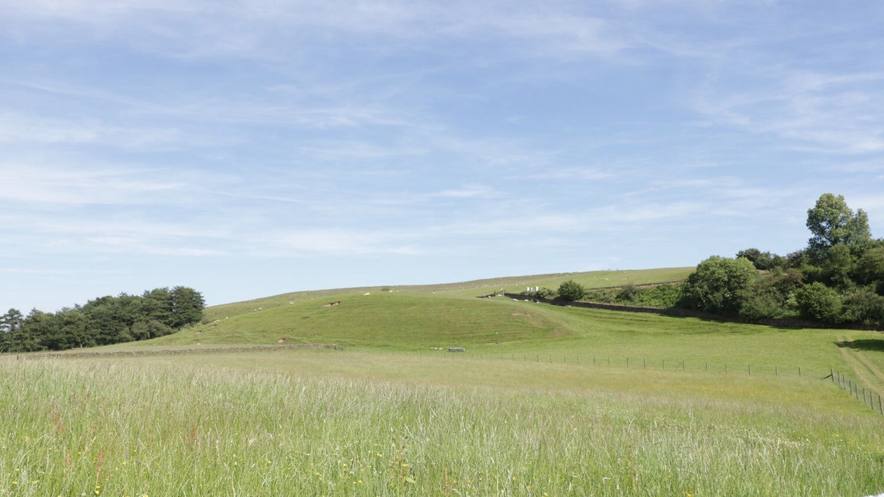 Photo of Others in Brampton