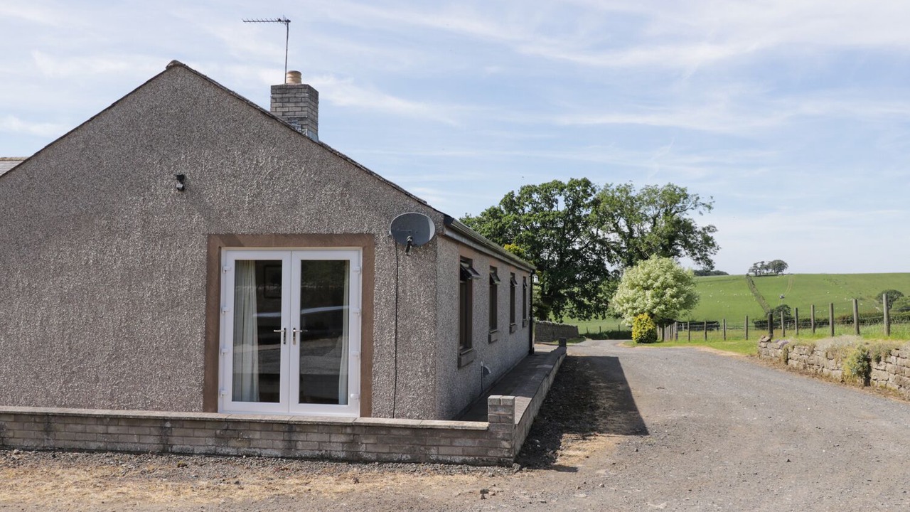 Photo of Others in Brampton