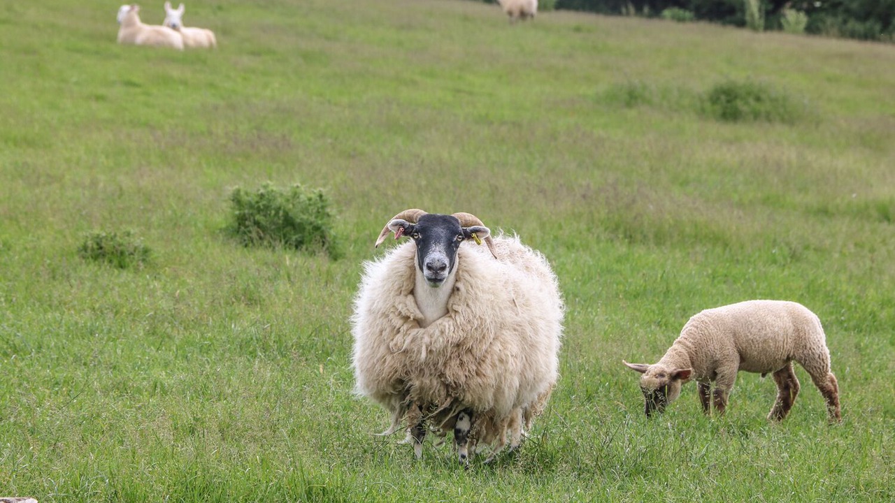 Photo of Others in Grampound