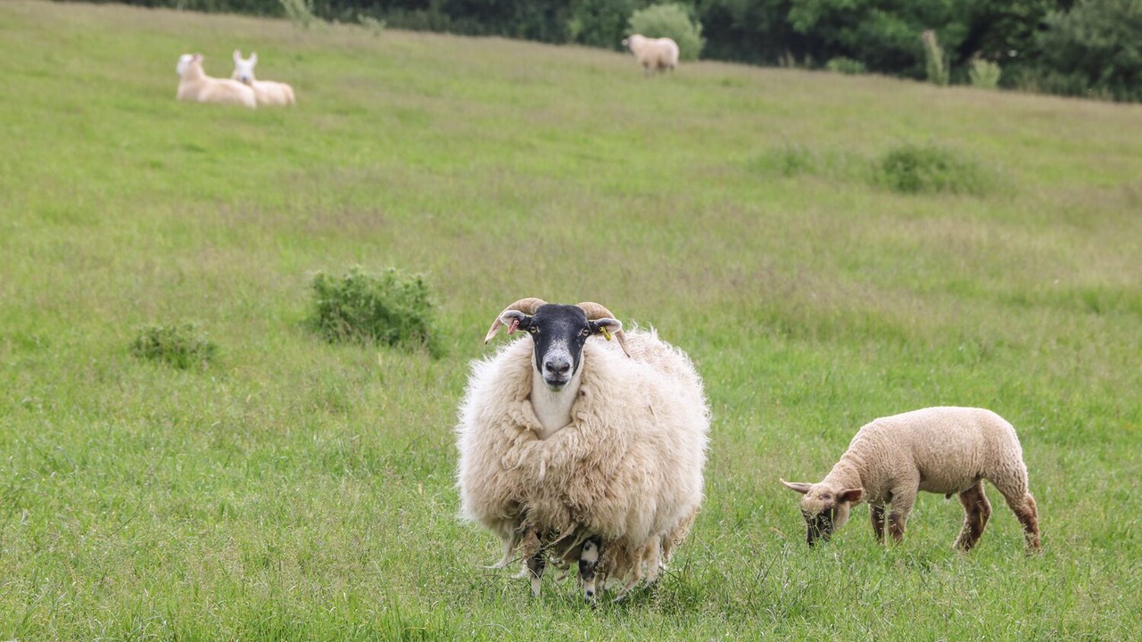 Photo of Others in Grampound