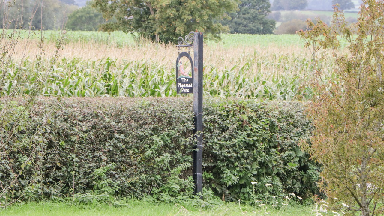 Photo of Others in Usk