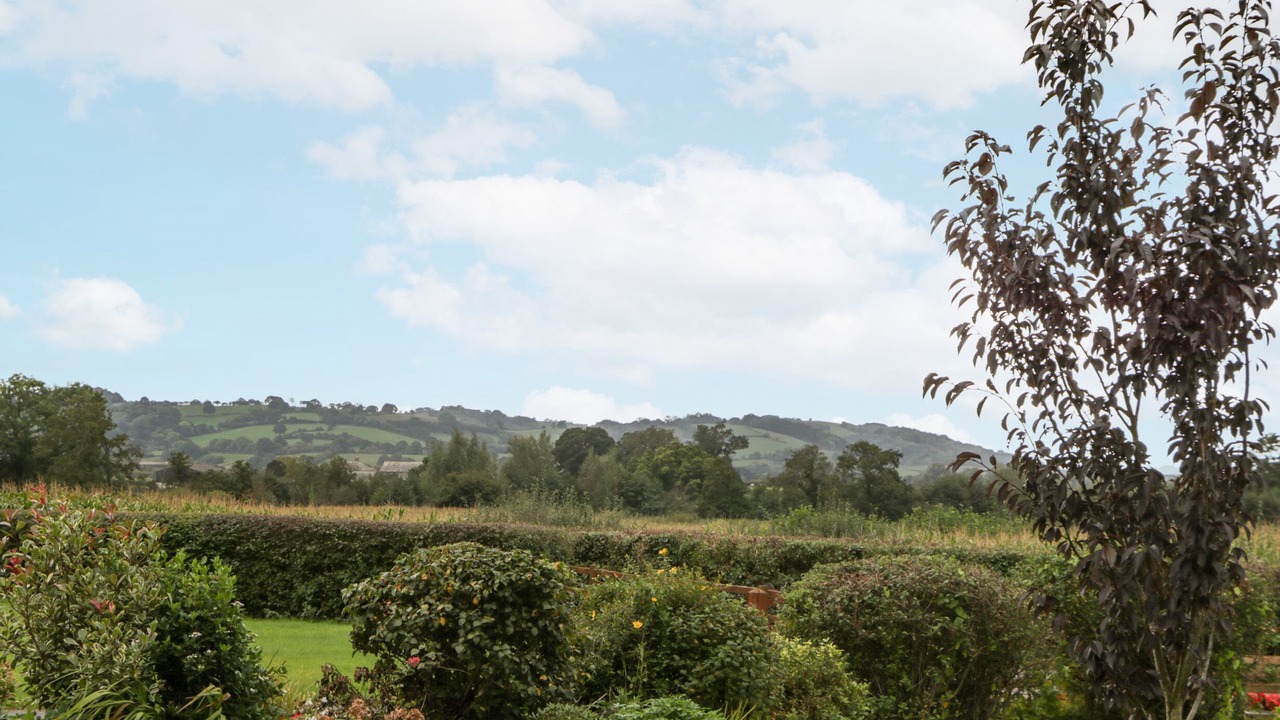 Photo of Outdoor in Usk