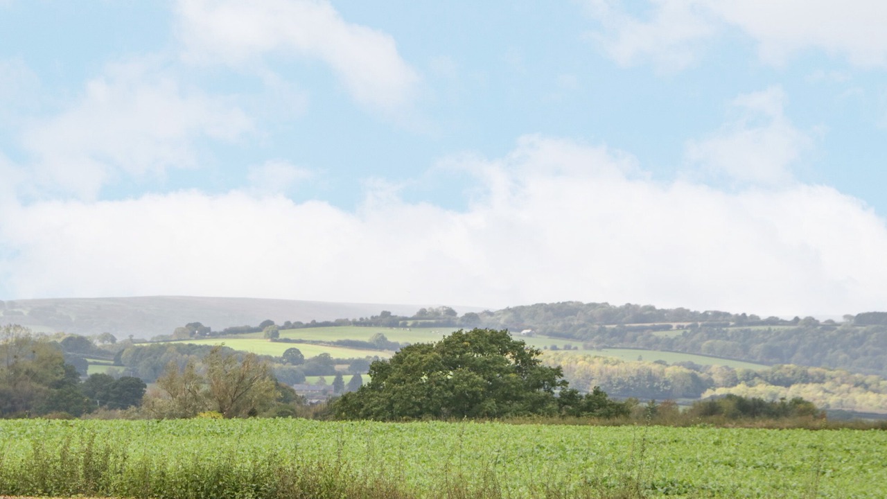 Photo of Others in Usk