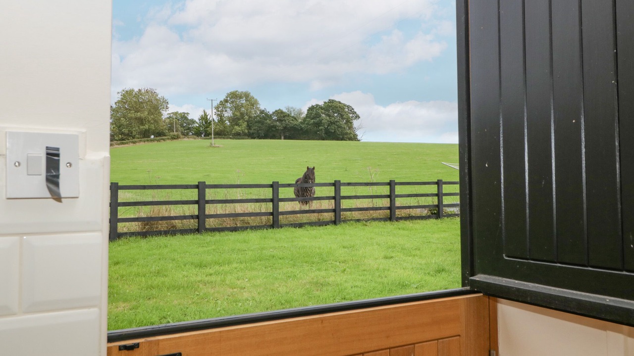 Photo of Others in Usk