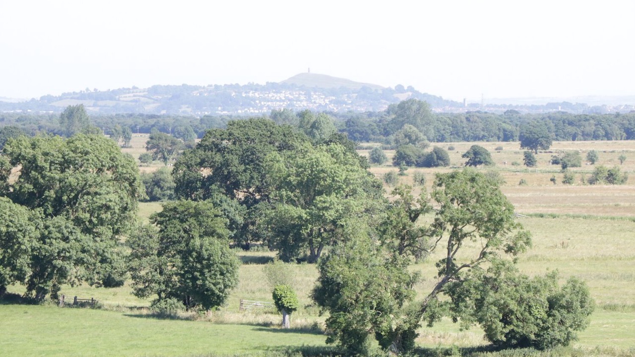 Photo of Others in Wedmore