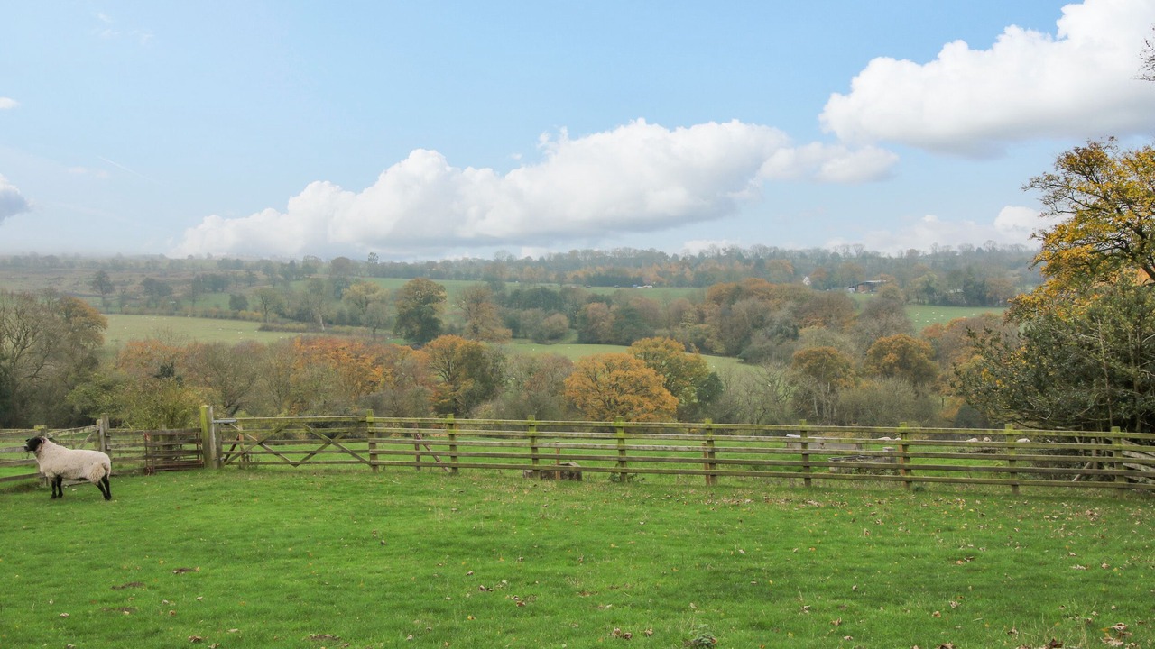 Photo of Others in Farden