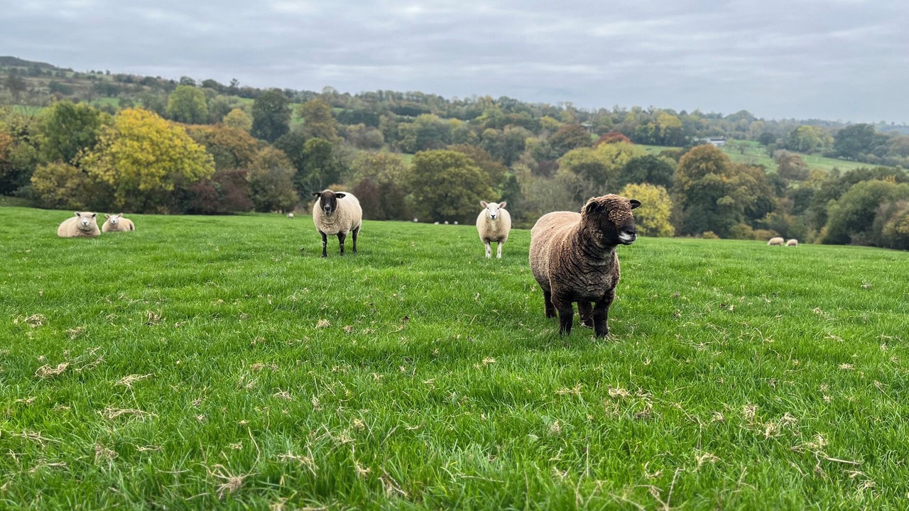 Photo of Others in Farden