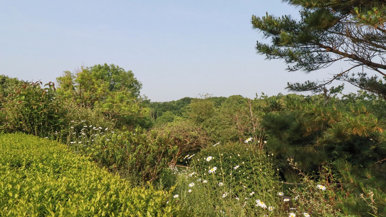 Photo of Others in Egloshayle