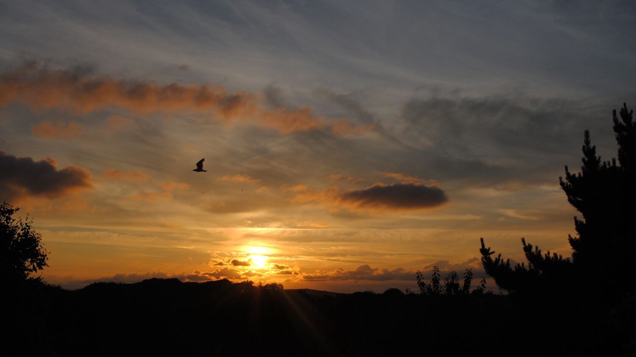 Photo of Others in Egloshayle