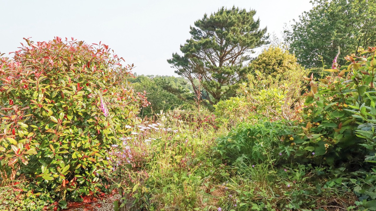 Photo of Others in Egloshayle