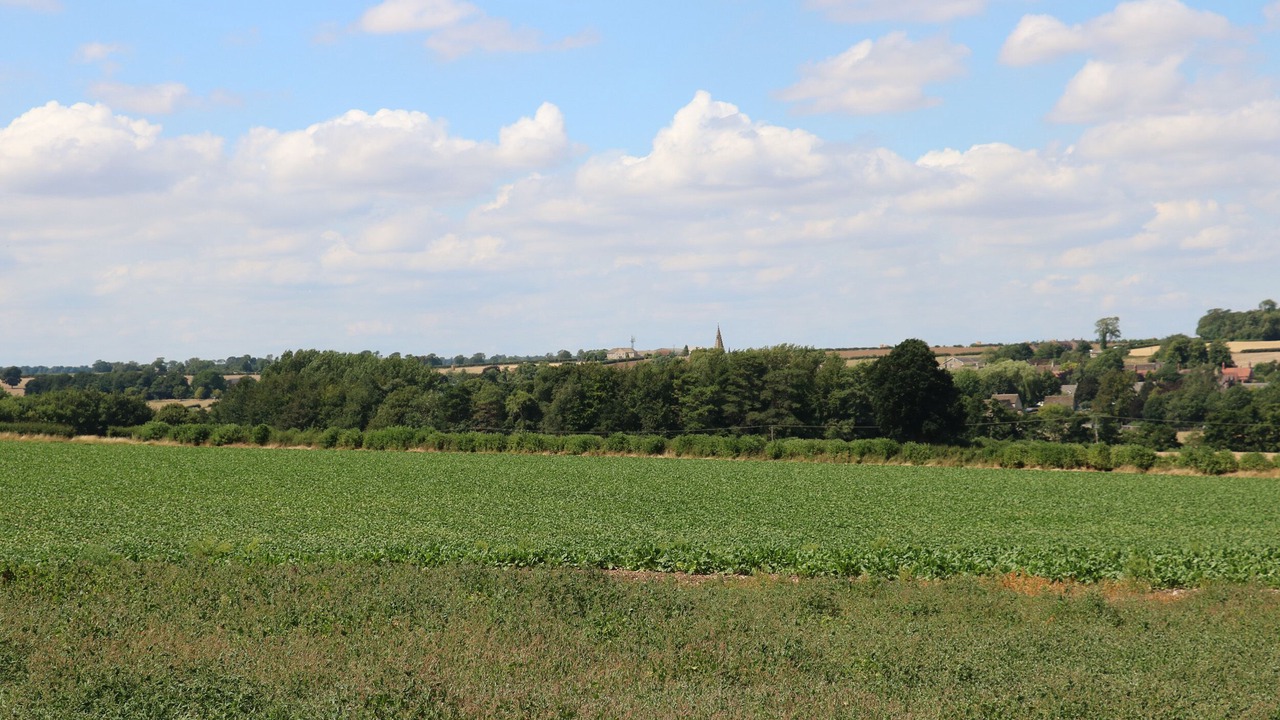 Photo of Others in Barnsdale