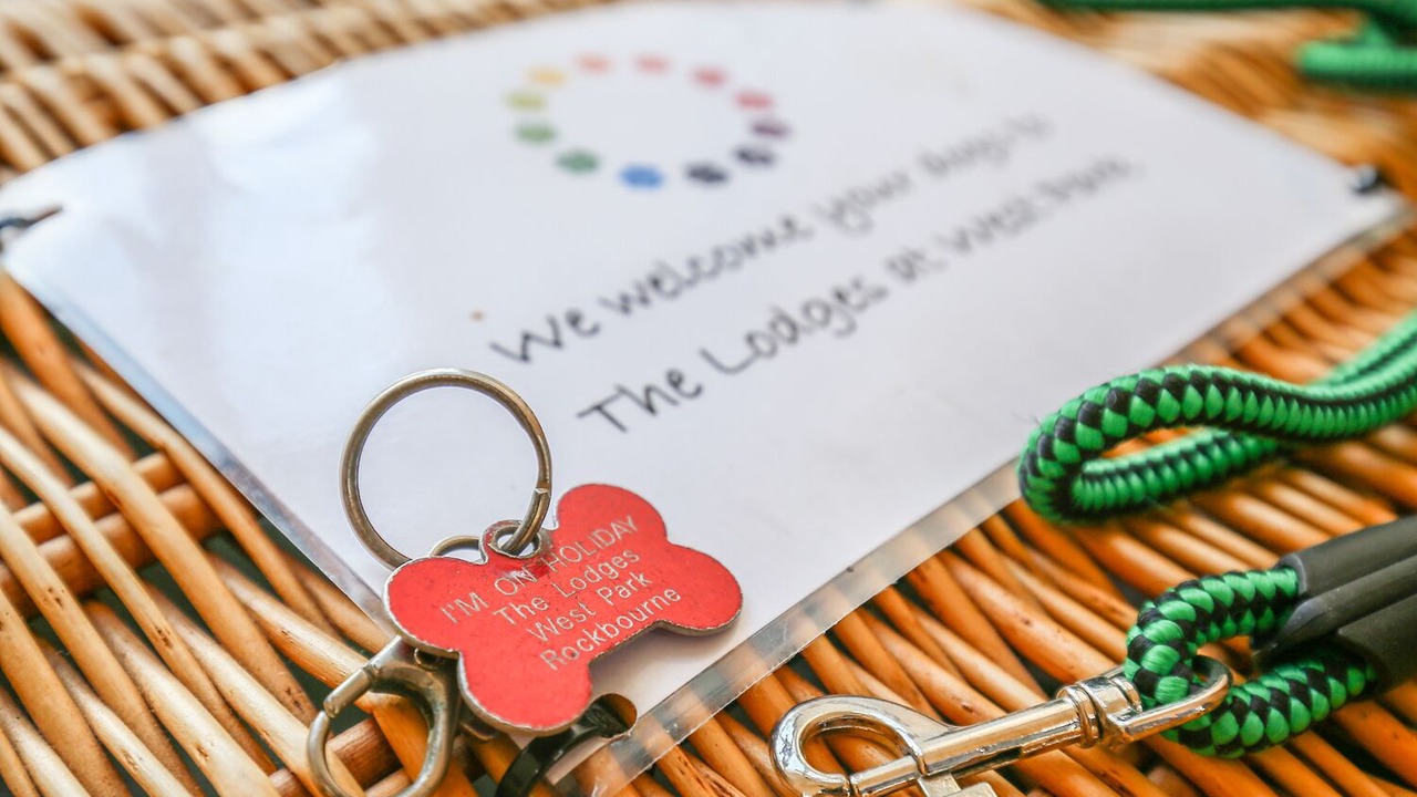 Photo of Others in New Forest District