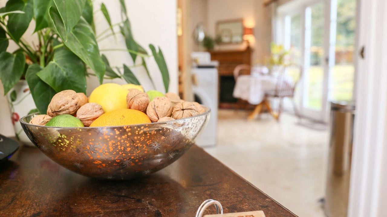 Photo of Others in New Forest District