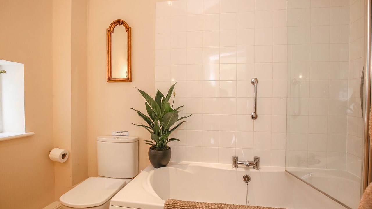 Photo of Others in New Forest District