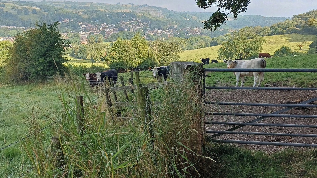 Photo of Others in Wirksworth