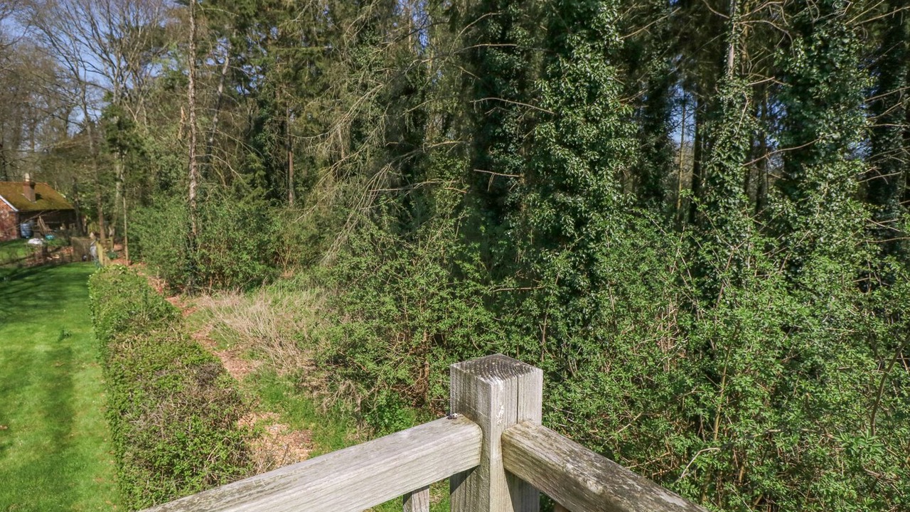 Photo of Others in East Tytherley