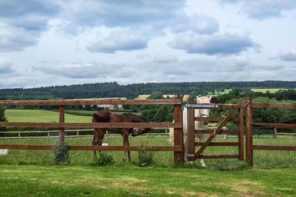 Photo of Others in Aymestrey