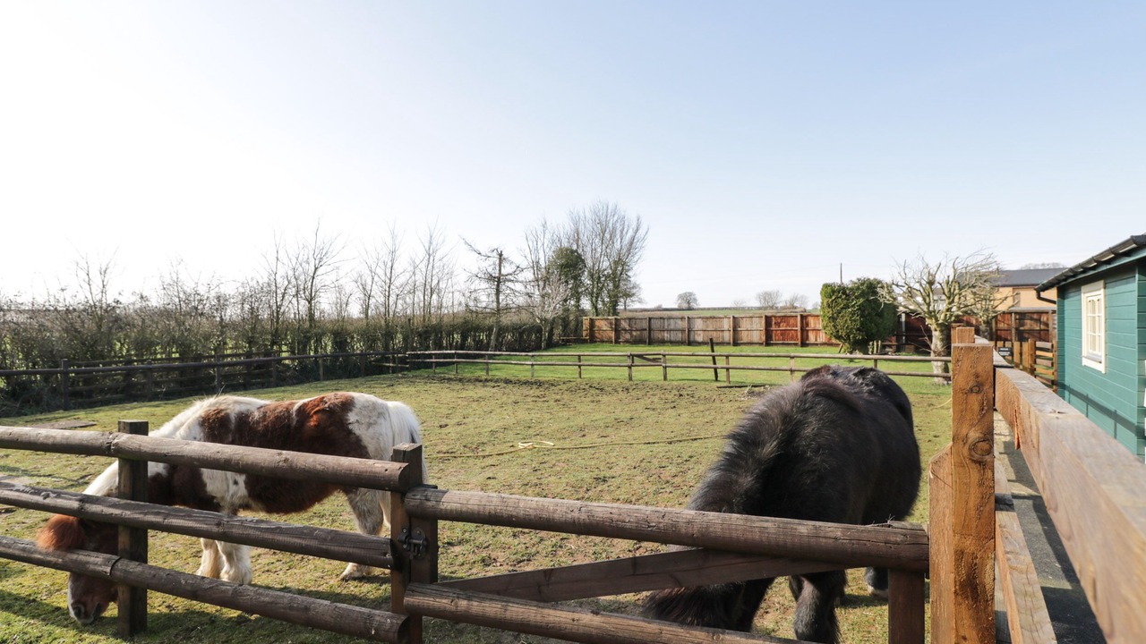 Photo of Others in Bushton