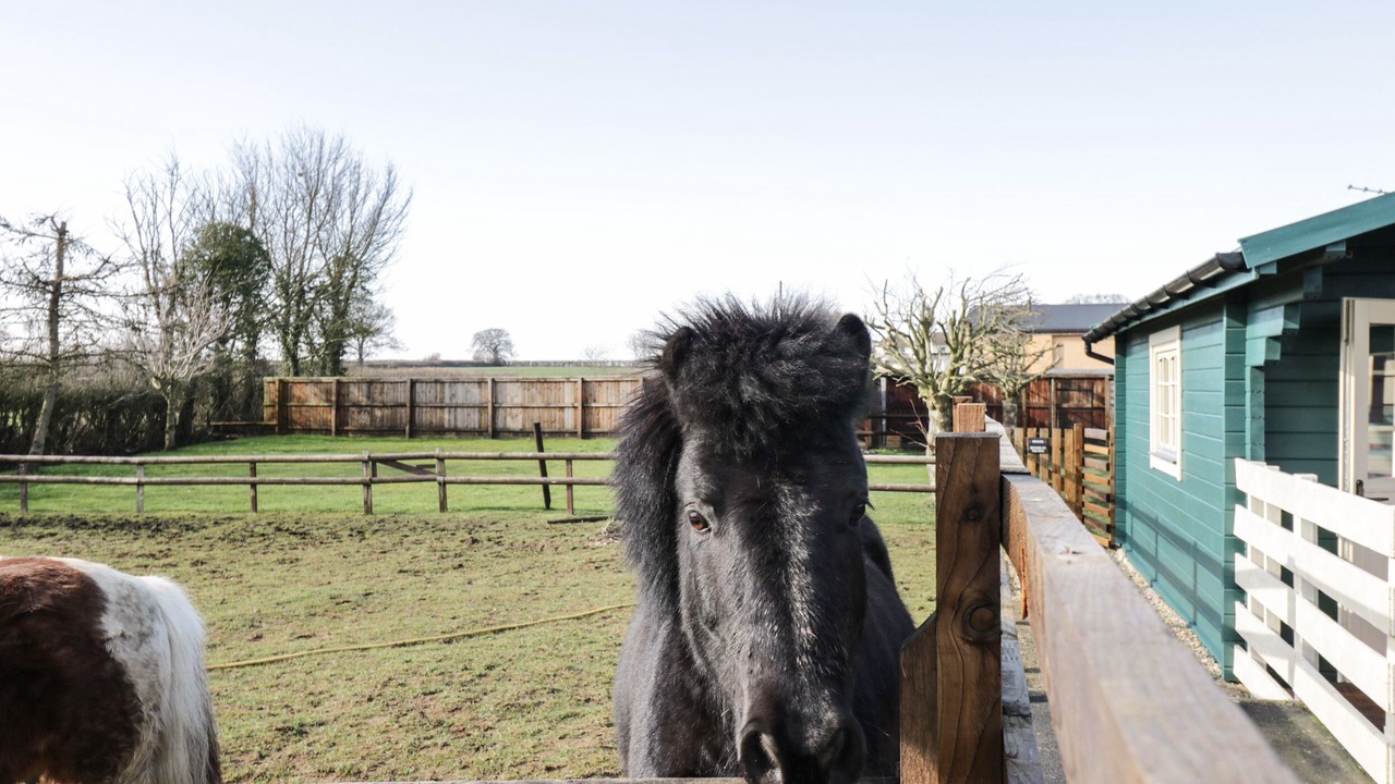 Photo of Others in Bushton