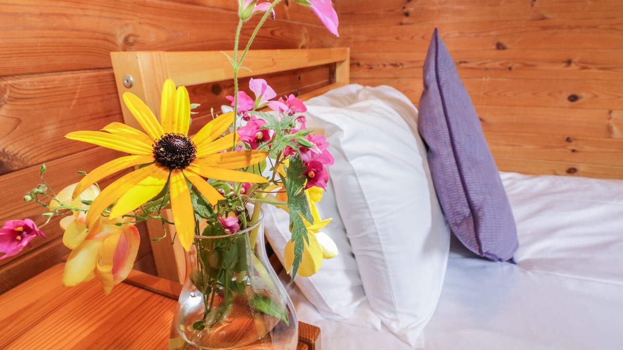 Photo of Others in Spark Bridge