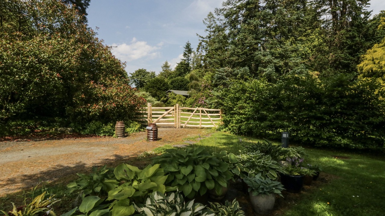 Photo of Others in Spark Bridge